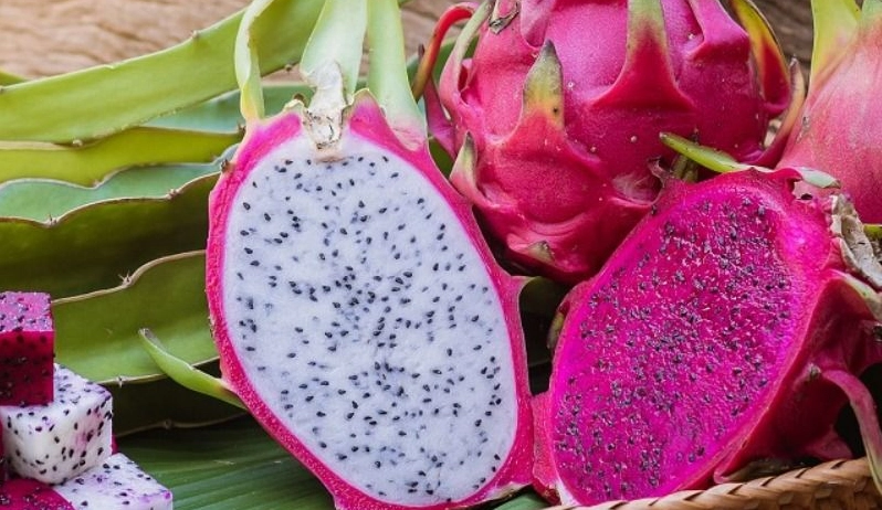 火龍果不能和什么一起吃