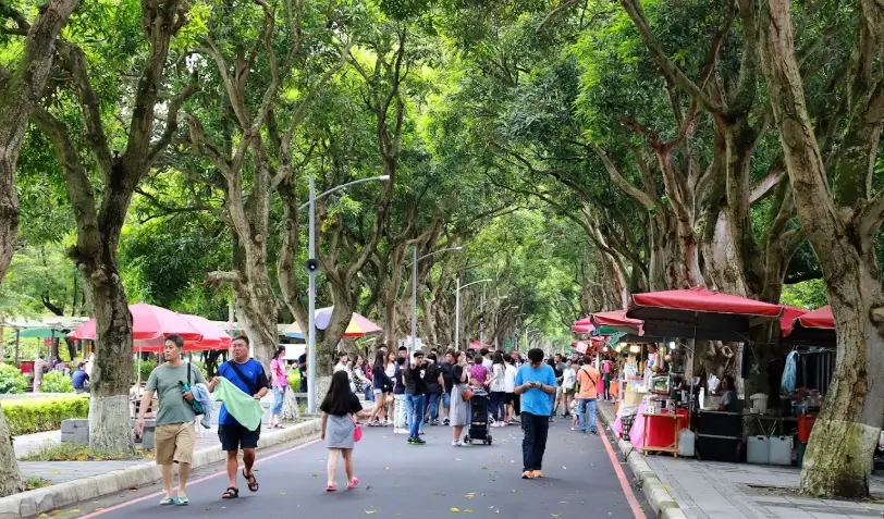 雲林交通 雲林交通