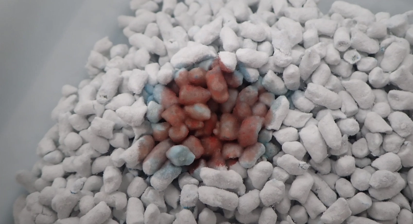 貓咪血尿要馬上看醫生嗎