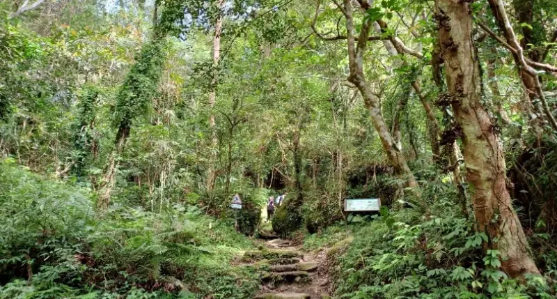 都蘭景點 都蘭景點