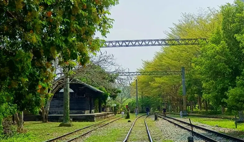 麗寶樂園 麗寶樂園