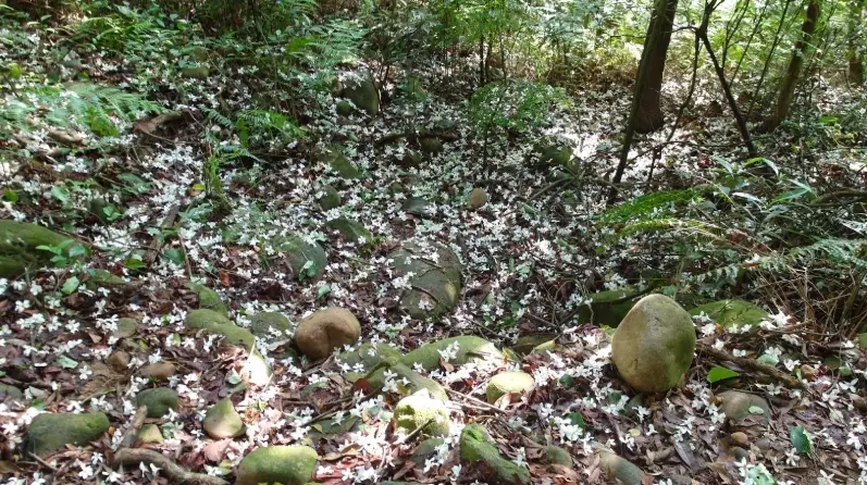 三義秘境 三義秘境