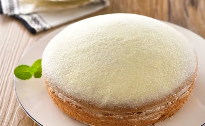 波士頓派推薦 波士頓派推薦