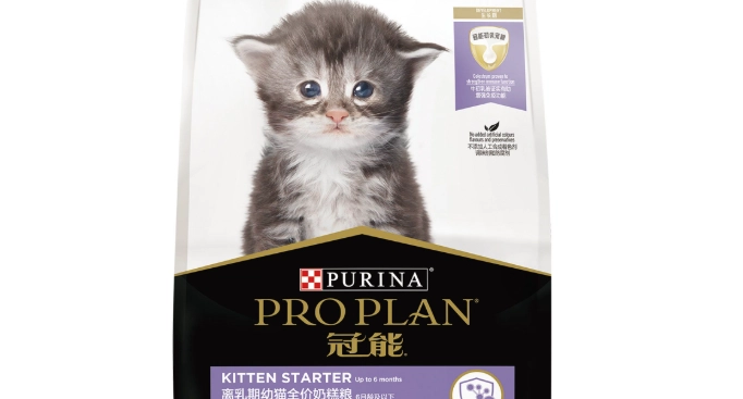 幼貓飼料推薦