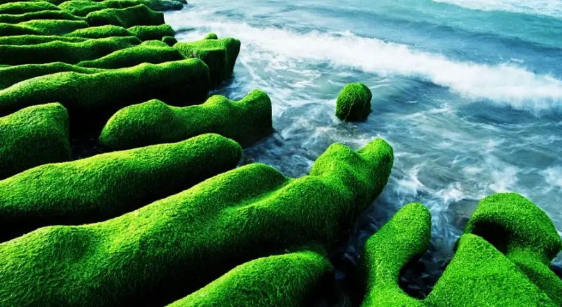 北海岸景點推薦 北海岸景點推薦