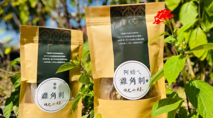 雞角刺茶功效大解析：保肝、降火、提升免疫力，台灣青草茶之王