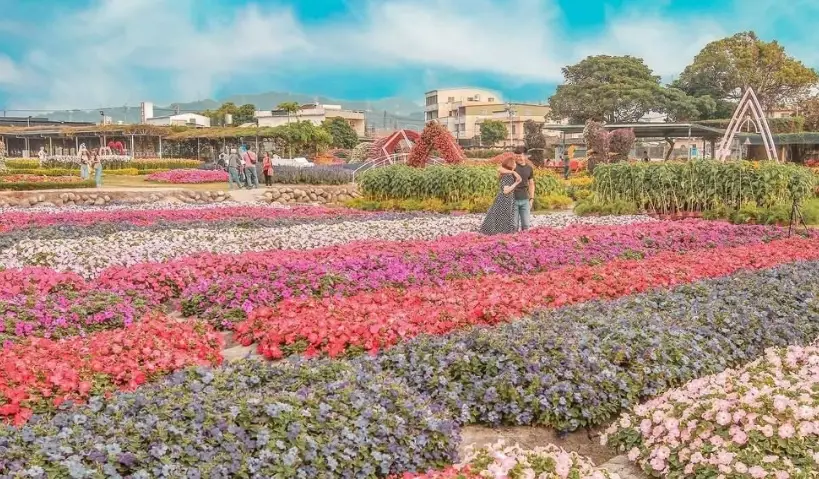 中部適合老人的景點 中部適合老人的景點