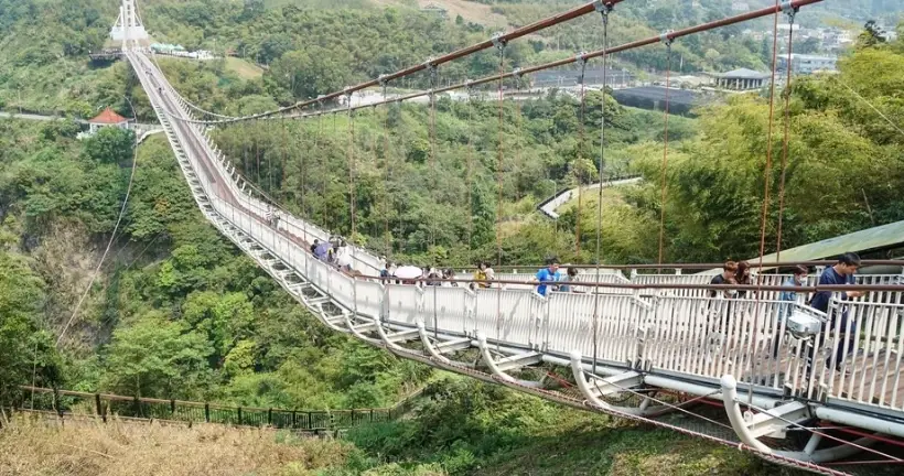 嘉義兩天一夜太平雲梯攻略：漫步天空之橋與阿里山森林療癒之旅
