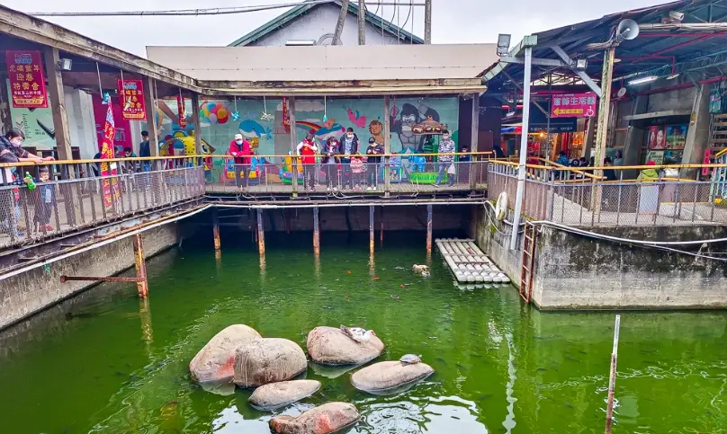 后里一日遊 后里一日遊