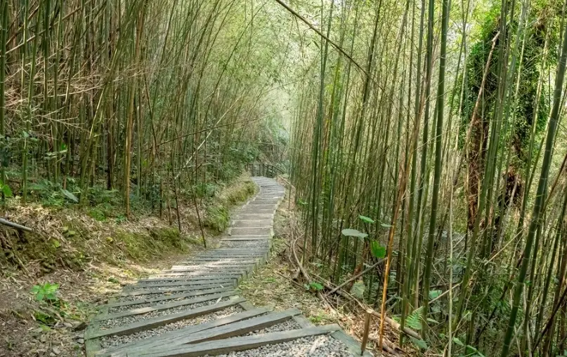后里一日遊 后里一日遊