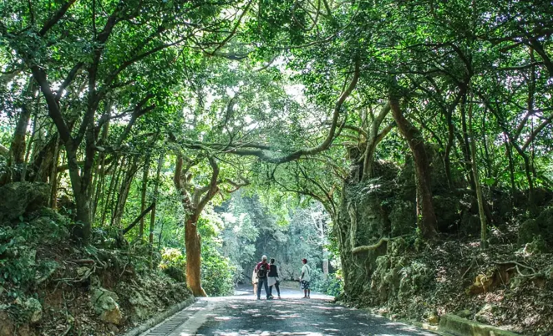 墾丁必去景點 墾丁必去景點