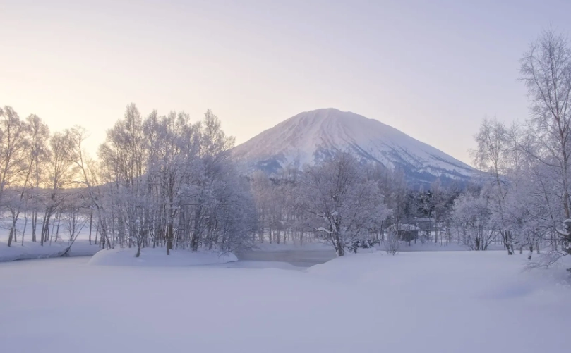 Niseko 早割 チケット