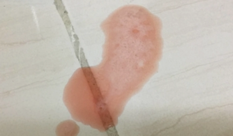 貓咪吐粉紅色液體