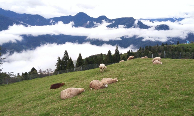 阿里山一日遊行程規劃