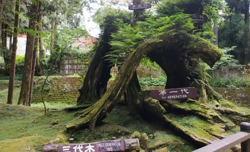 阿里山行程規劃