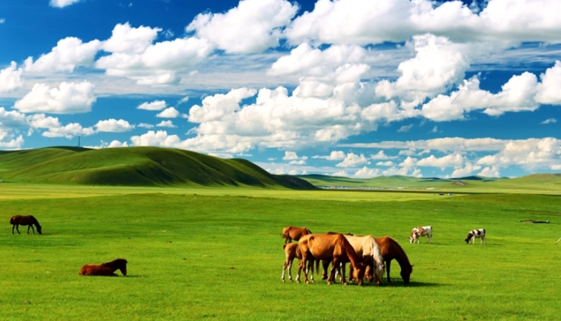 內蒙古旅遊攻略