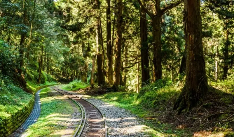 台灣中南部旅遊