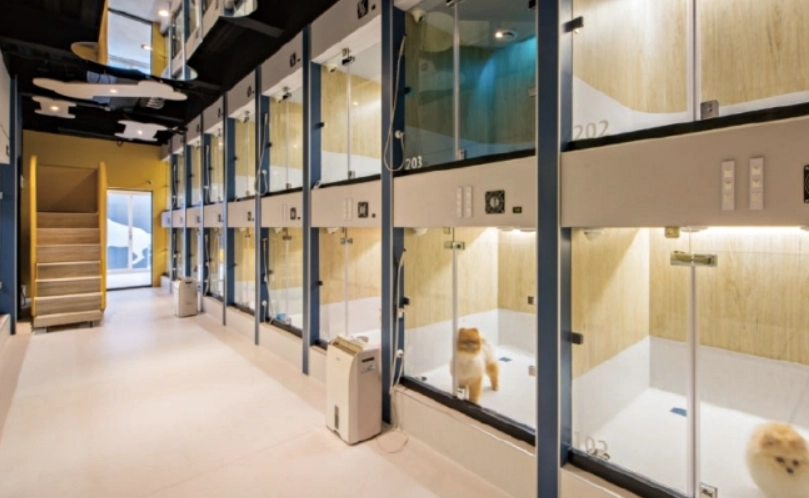 台中寵物住宿價格