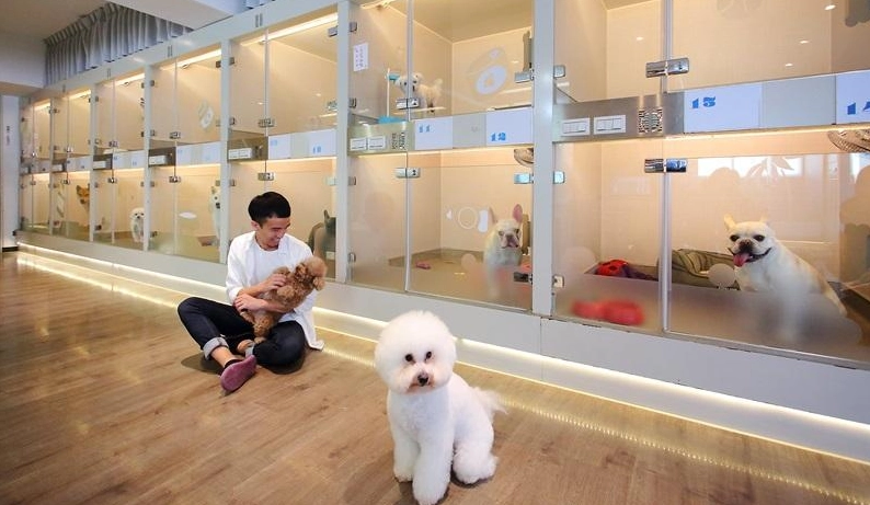寵物旅館台中24小時