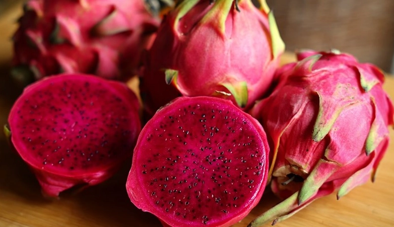 紅肉火龍果染色