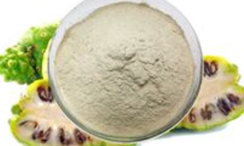 諾麗果粉推薦品牌