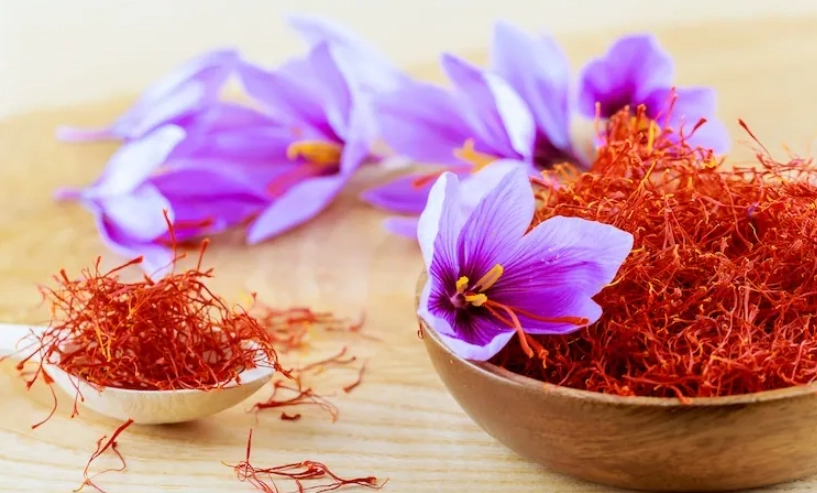 番紅花副作用