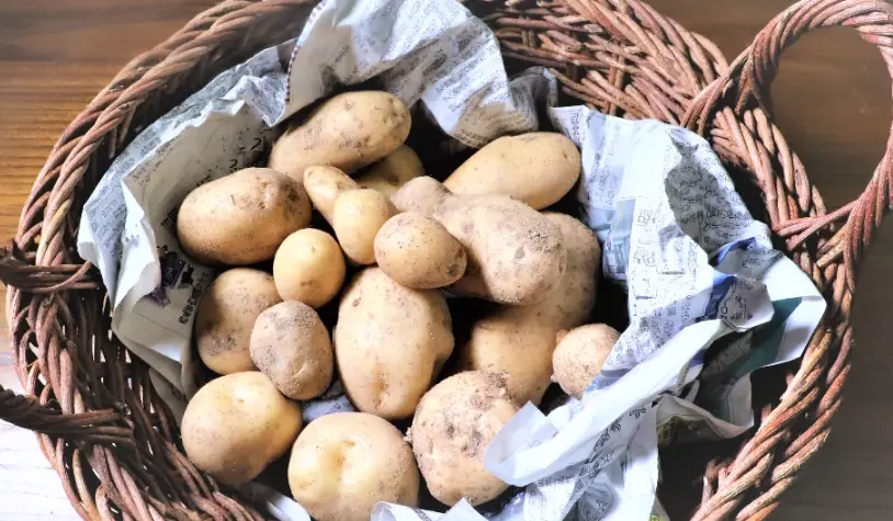 馬鈴薯健康好處