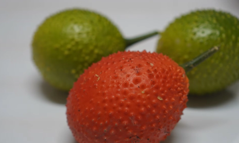 木鱉果食用方法