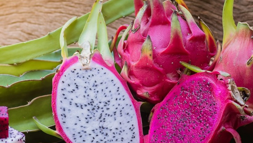 火龍果升糖指數