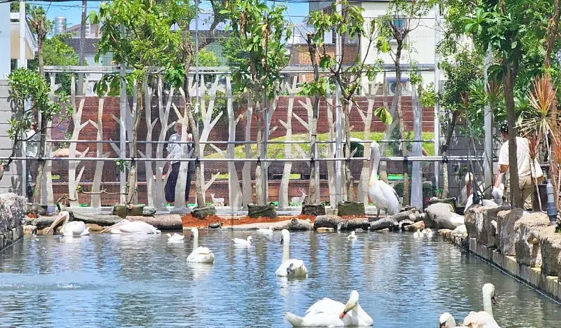 宜蘭室內動物園