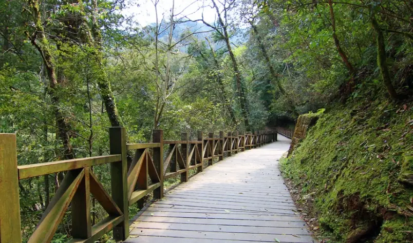 拉拉山國家森林遊樂區怎麼去