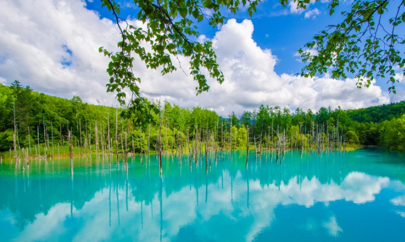 北海道攻略完全制霸