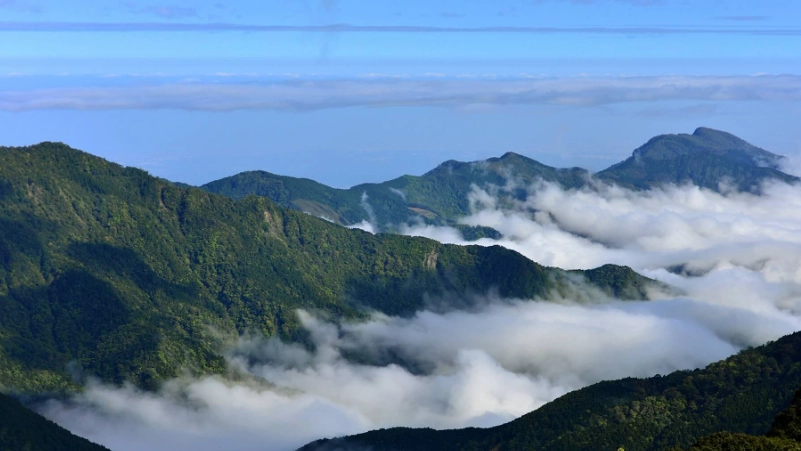 台灣好行觀霧一日遊