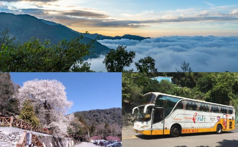 觀霧森林遊樂區