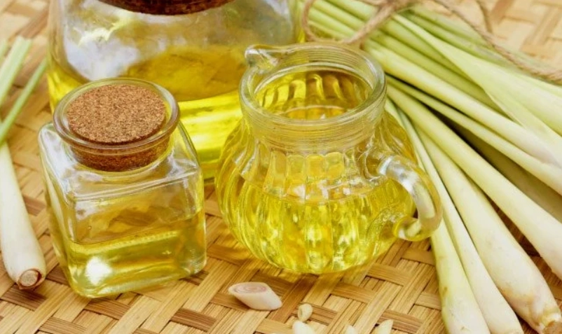 檸檬草精油用法