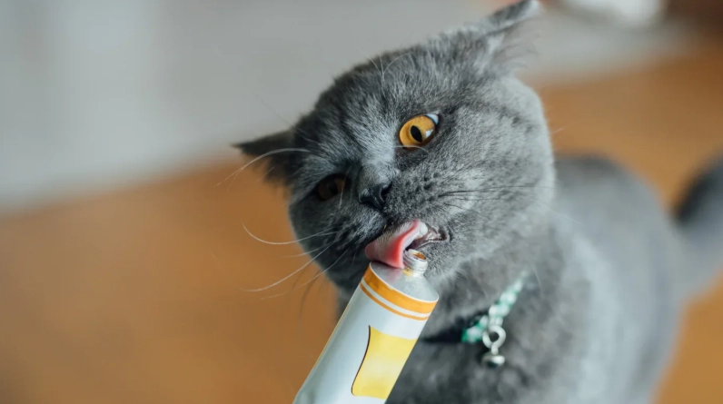 貓咪化毛膏推薦