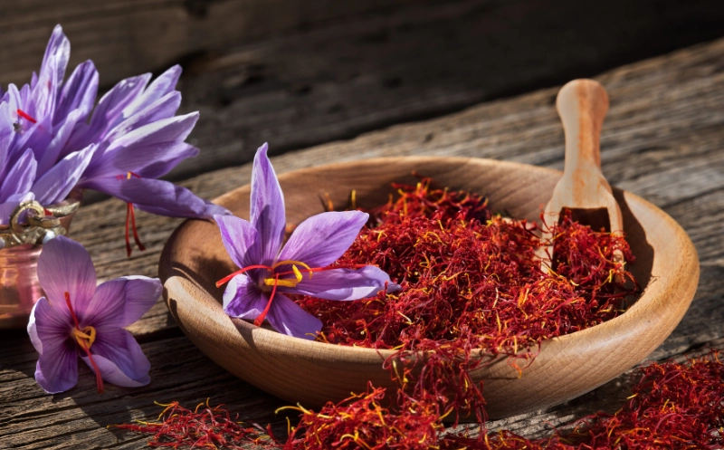 改善循環養生方