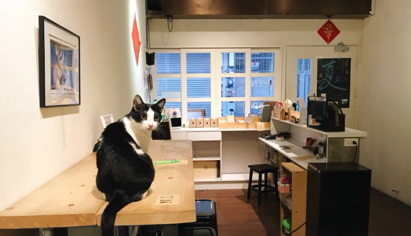 台南 讀書 咖啡廳 台南 讀書 咖啡廳