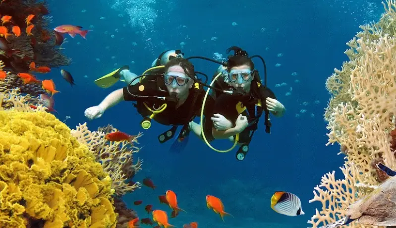 宿霧跳島 宿霧跳島