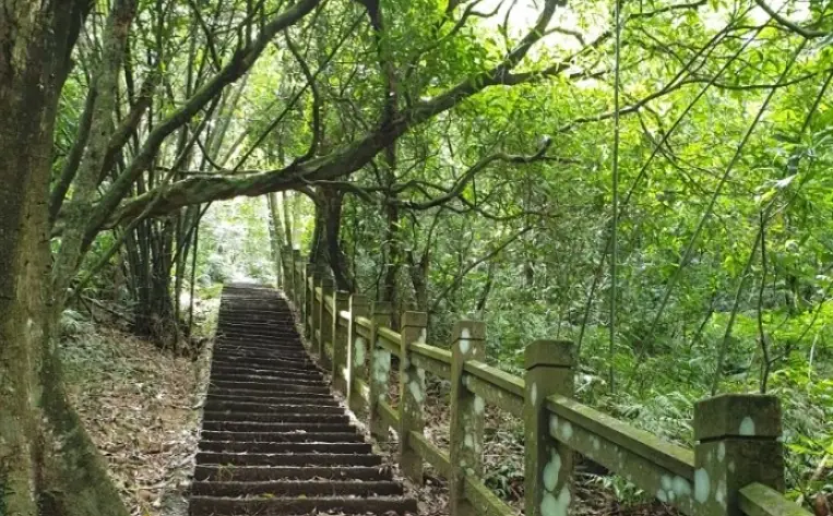 桃源谷步道 桃源谷步道