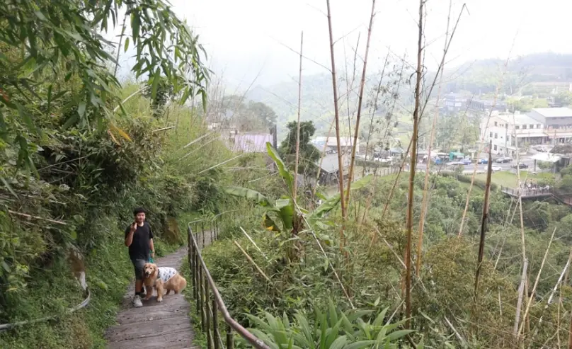 帶狗去嘉義 帶狗去嘉義