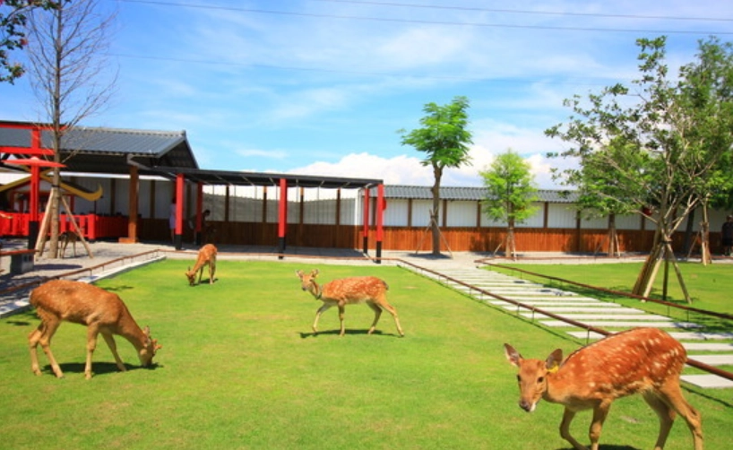 三星親子景點 三星親子景點