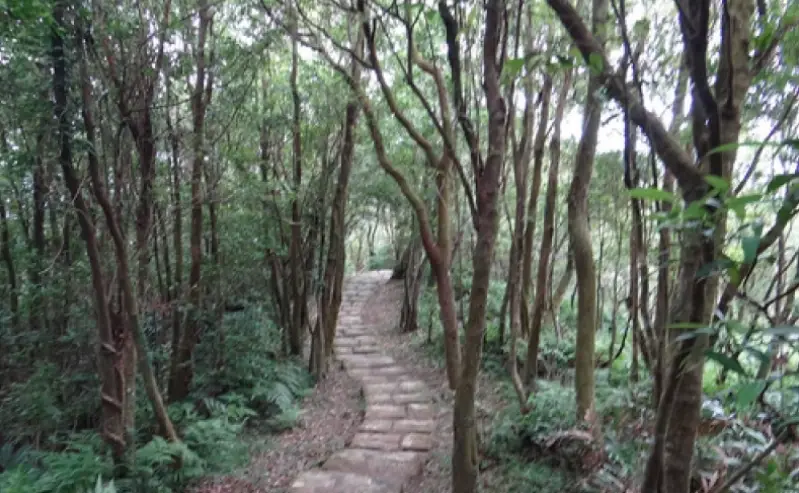 桃源谷步道 桃源谷步道