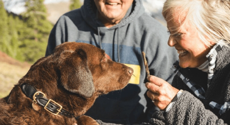 寵物離世心理調適 寵物離世心理調適