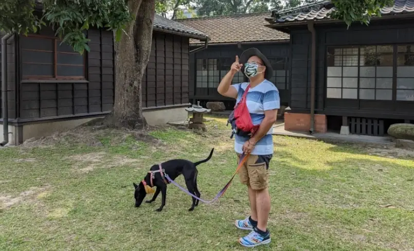 帶狗去嘉義 帶狗去嘉義