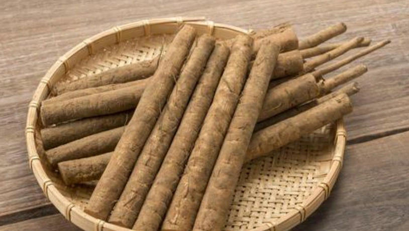 牛蒡餐廳推薦 牛蒡餐廳推薦