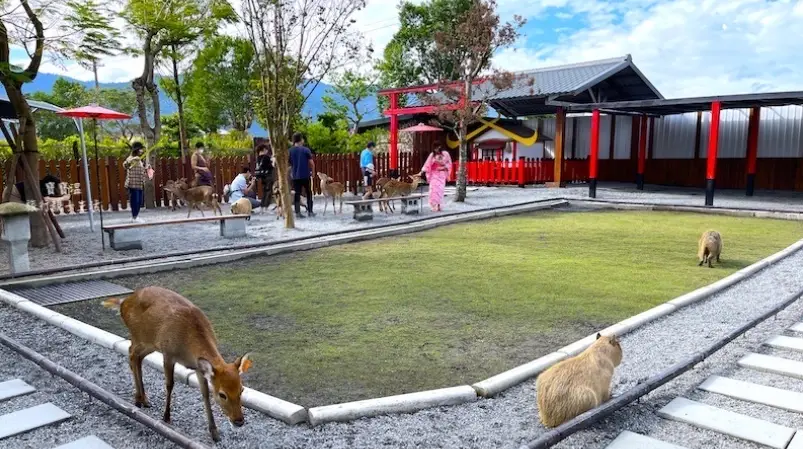 三星室內景點 三星室內景點