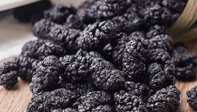 桑葚乾不能和什麼一起吃