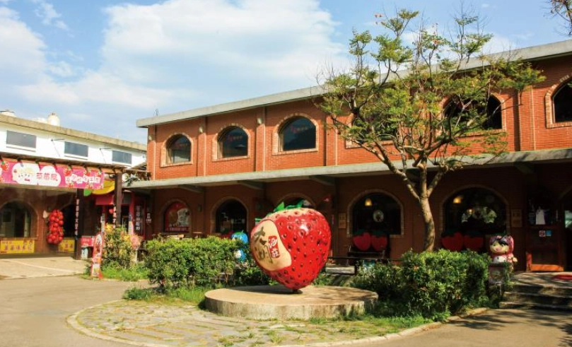 採草莓行程 採草莓行程