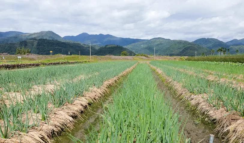 三星親子景點 三星親子景點